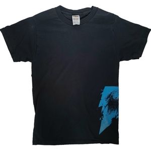 Vintage Taking Back Sunday Concert T-Shirt